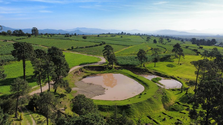 Vista aérea de terreno agrícola para calcular el costo de una hectárea